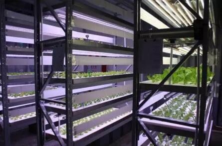 3.15打假如火如荼 LED行业三种消费侵权你重视了吗？