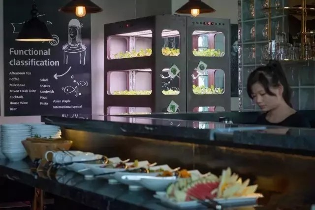 植物工厂这些另辟蹊径的商业模式太绝了！