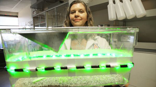 美国最新研究发现绿色LED光源有助于缓解疼痛