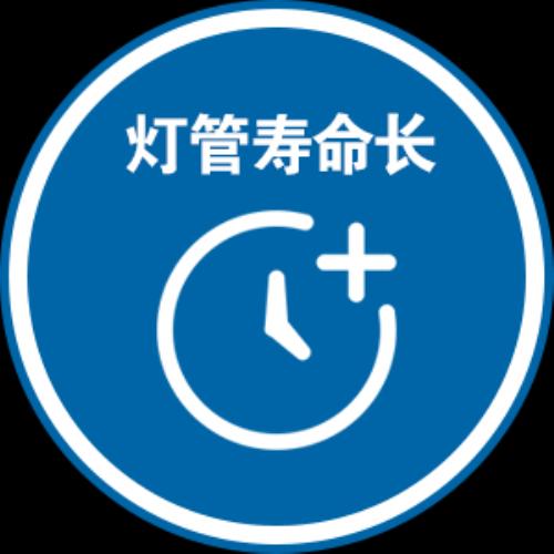 强力巨彩P10单白知多少？