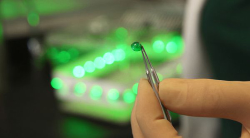 美国最新研究发现绿色LED光源有助于缓解疼痛