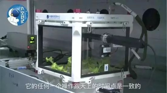 植物工厂步入“深空” 专家看好其于航天应用前景