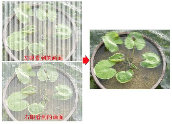 VR技术应用热火朝天 裸眼3D又来刷屏！