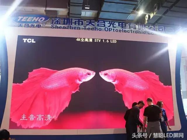 天合光电：LED小间距/透明屏新品亮相 非一般的视觉感受！