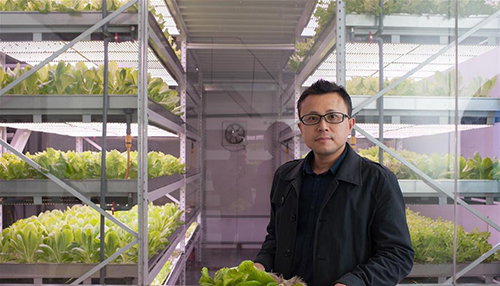 中国几大LED植物工厂情况大对比