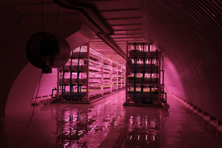 中国几大LED植物工厂情况大对比