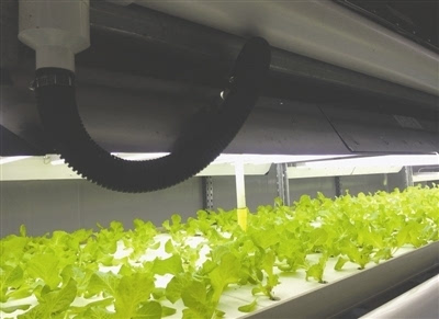 中国几大LED植物工厂情况大对比