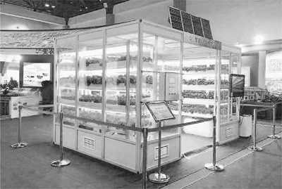中国智能LED植物工厂发展情况如何？