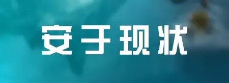 LED人士必看：七种公司做不大 十种老板难成功