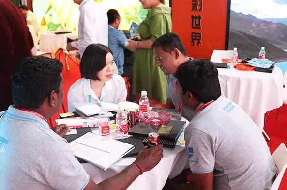 皇家显示：坚持标准化 专业化道路！为您呈现一个精彩世界