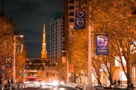 世界各地圣诞彩灯有多美？简直让人想再过一次节！