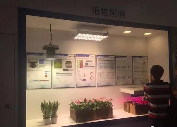 2017广州光亚展：智慧照明成主角 细分市场受瞩目