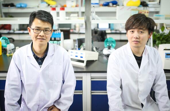 LED灯结合手机app 为糖尿病诊疗提供新策略 LED灯结合手机app 为糖尿病诊疗提供新策略