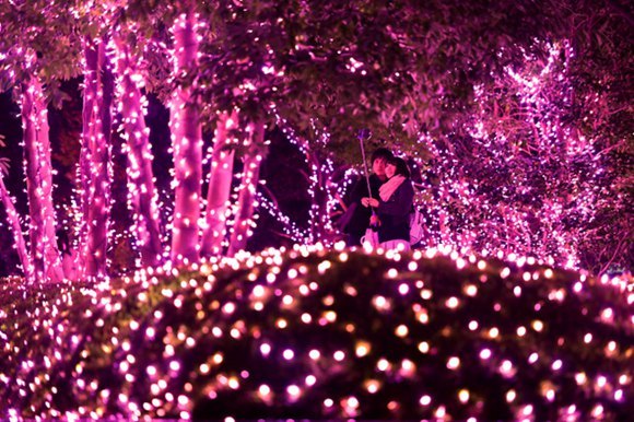美到飞起的“樱花灯”：东京亮起30万个LED灯组成樱花色节日彩灯