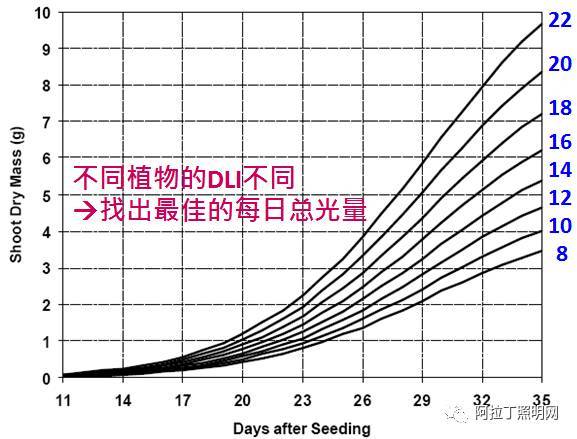 企业争相布局!LED植物照明到底有何优势? 企业争相布局!LED植物照明到底有何优势?