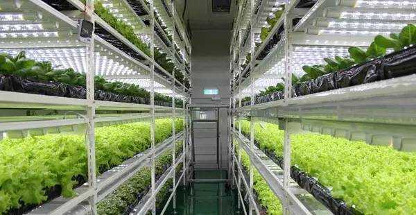 最全盘点：全球LED龙头在植物照明领域布局概况