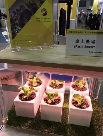 直击台北光电周：车用LED照明产品吸睛