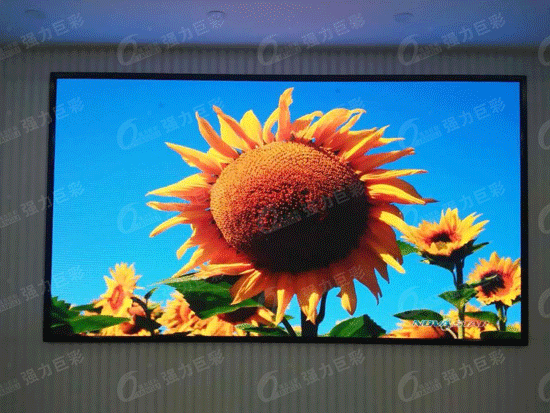 以超低“平民价”彻底引爆高密度精品Q2.0 冰爽约一夏！