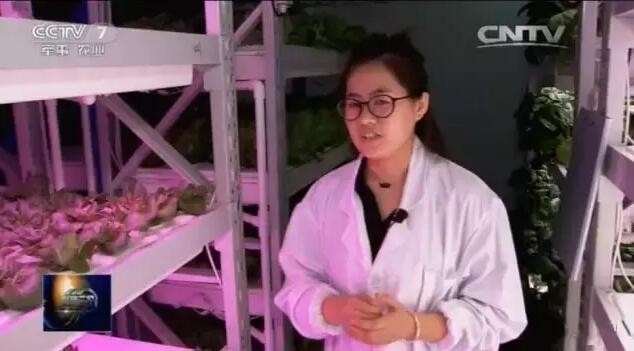 厉害了!深圳这家企业因玩转都市农业上央视了 厉害了!深圳这家企业因玩转都市农业上央视了