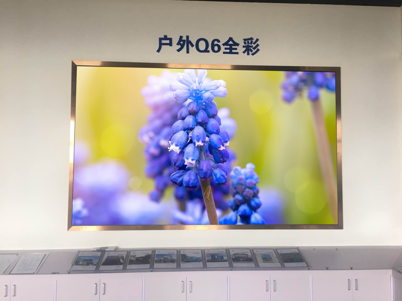 天气再冷 这家LED显示屏体验中心也照样热火朝天！