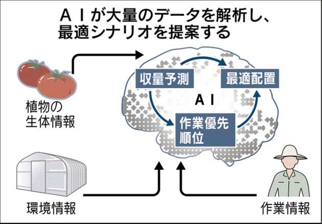 日本人工智能植物工厂又有新收获！提高收成10%并降低劳作时间
