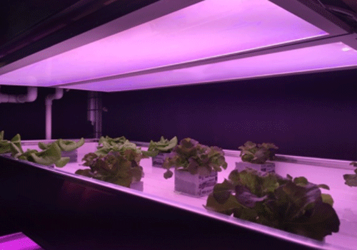 LED光转换技术:LED的下一波破坏式创新 LED光转换技术:LED的下一波破坏式创新