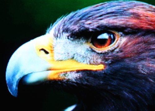 明微电子——LED显示屏节能创新设计-SM16227