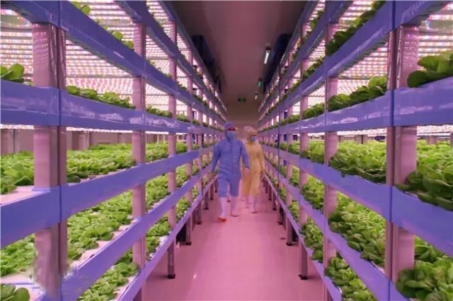 我国景观亮化项目丰富！2017年LED照明行业五大细分领域进展！