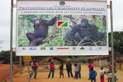 北京“天际线”行动启示：除广告外 户外广告到底还有什么作用？