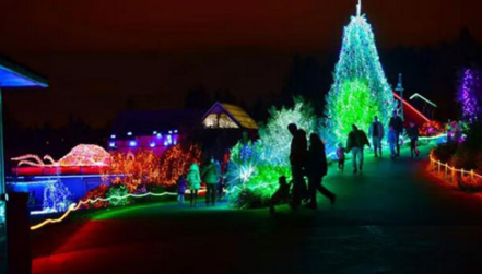 世界各地圣诞彩灯有多美？简直让人想再过一次节！