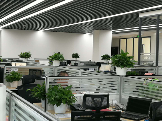 集创北方：品质闪耀世界，科技点亮中国“芯”