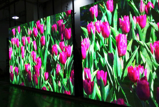 “多面”联诚发：行路致远，砥砺前行