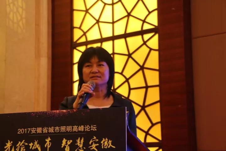 “光绘城市 智慧安徽”2017安徽省城市照明高峰论坛在合肥举行 “光绘城市 智慧安徽”2017安徽省城市照明高峰论坛在合肥举行