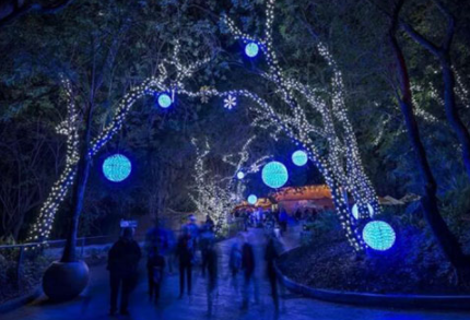 世界各地圣诞彩灯有多美？简直让人想再过一次节！