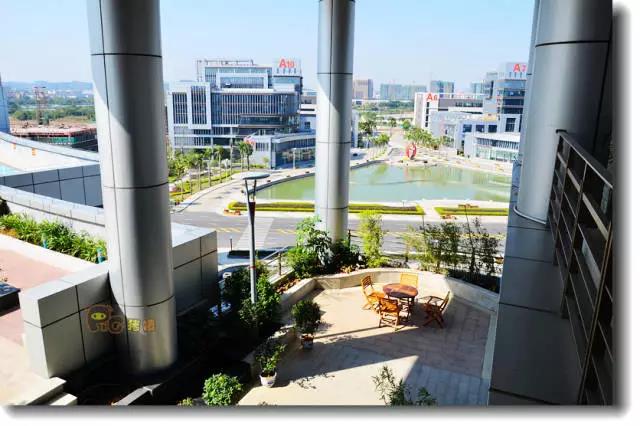 植物工厂投入巨大!为何厂商还要费劲烧钱? 植物工厂投入巨大!为何厂商还要费劲烧钱?