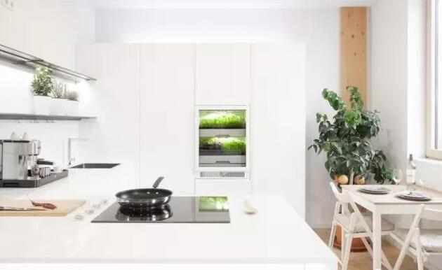 一周聚焦：LED巨头们都在干什么？