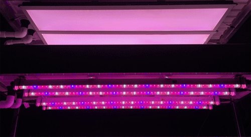 LED光转换技术:LED的下一波破坏式创新 LED光转换技术:LED的下一波破坏式创新