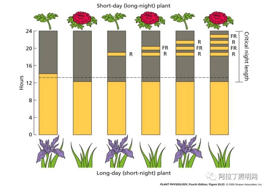 企业争相布局!LED植物照明到底有何优势? 企业争相布局!LED植物照明到底有何优势?