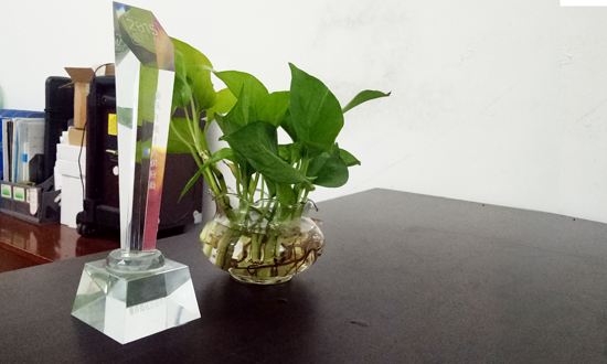 全新模式 全新理念注入行业发展！LED舞台租赁领域日后必定大有可为！