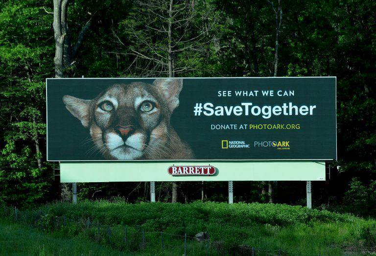 北京“天际线”行动启示：除广告外 户外广告到底还有什么作用？