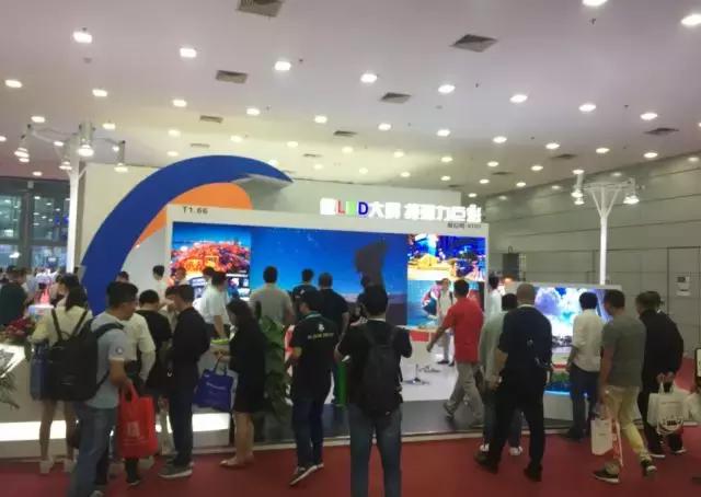 强力巨彩销售腾飞 2017年完美收官