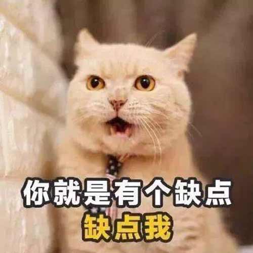 请注意查收 这是为LED屏人准备的七夕大礼（文末甜skr人）