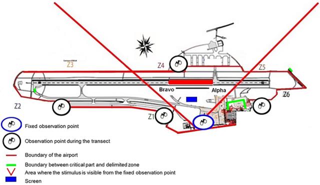 机场驱鸟新技术:用LED屏上的大眼睛吓跑飞禽 机场驱鸟新技术:用LED屏上的大眼睛吓跑飞禽