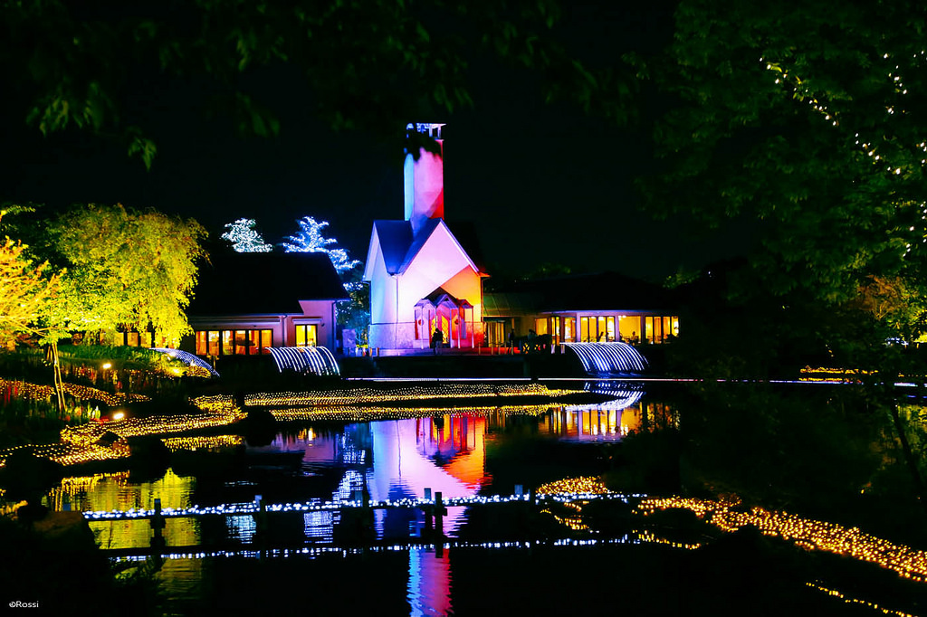 绝美！日本最大灯光秀亮相熊本县！熊本熊造型吸睛