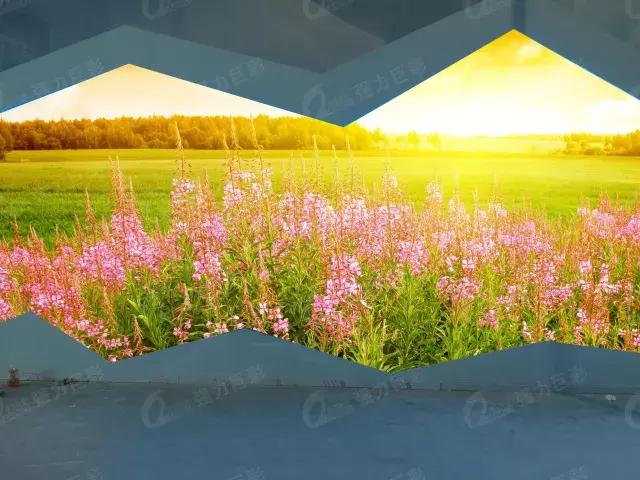 Q3pro产品强势出击 铸就室内全彩大不同！