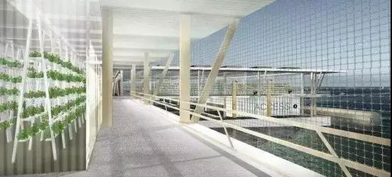 世界首个漂浮农场:机器人挤牛奶 LED灯种植草料 世界首个漂浮农场:机器人挤牛奶 LED灯种植草料