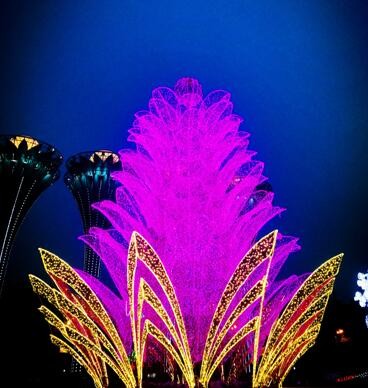 2500万盏LED灯！安徽省第三届徽园灯光秀璀璨上演