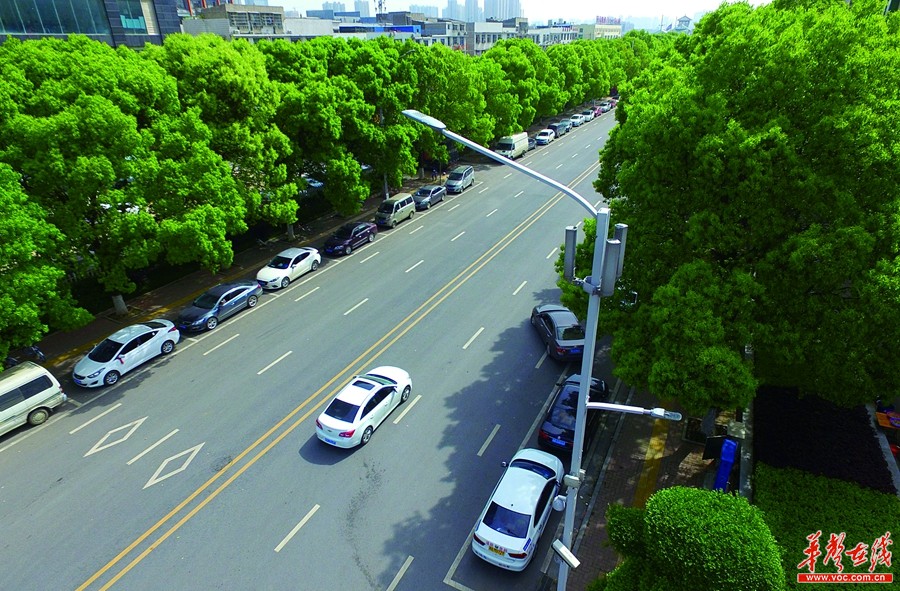 涨见识！湖南12条路路灯可充电、当WIFI