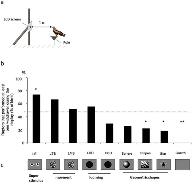 机场驱鸟新技术:用LED屏上的大眼睛吓跑飞禽 机场驱鸟新技术:用LED屏上的大眼睛吓跑飞禽
