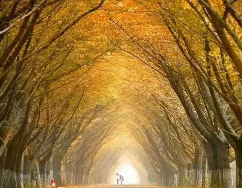 一踩就“碎”的玻璃栈道“吓尿”游客 LED互动地砖屏：这个锅 我背